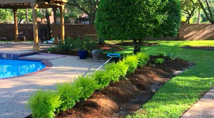 The Benefits Of Spending Just 10 Minutes In Nature Daily