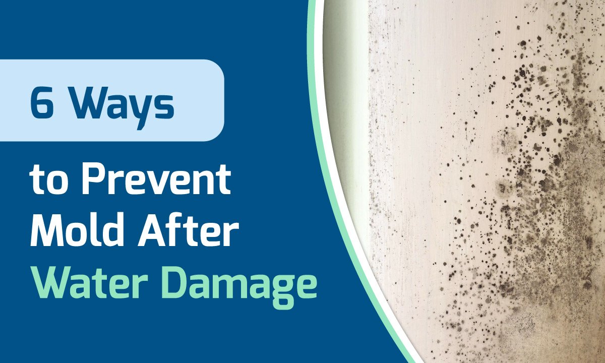 How to Prevent Home Mold and Mildew
