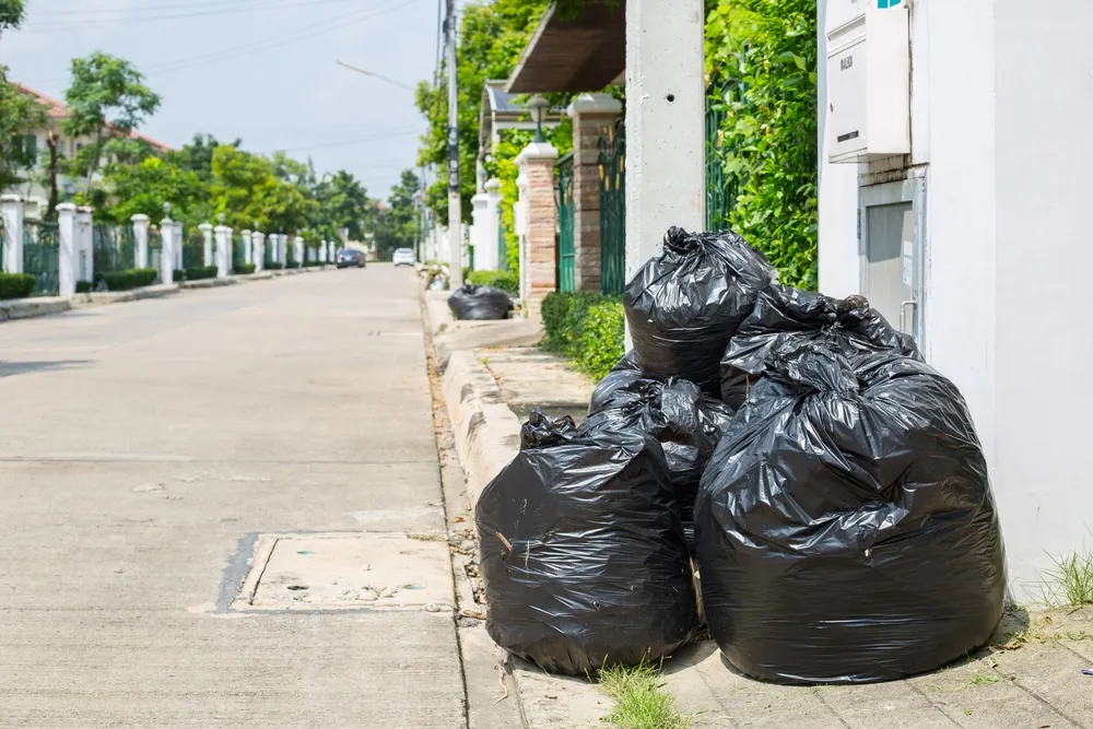What should you expect during and after a professional Hobart rubbish removal service visit?